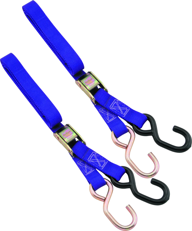 BikeMaster 1in Tiedown - Purple